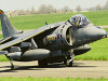 Harrier at Photo by John Bilcliffe